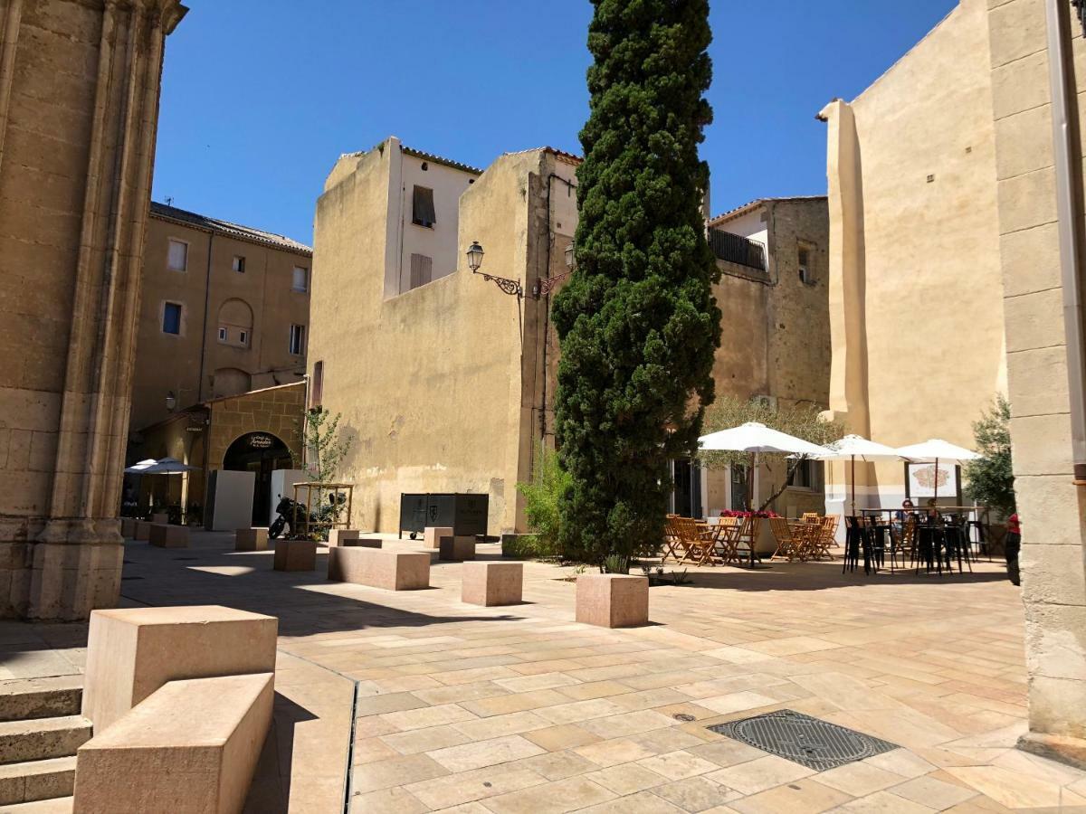 Cathedrale Appart Daire Narbonne Dış mekan fotoğraf